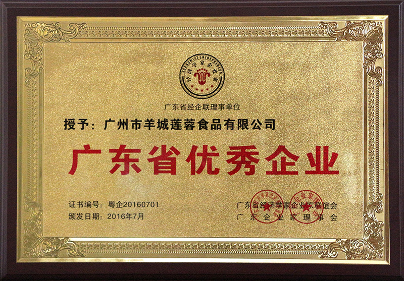 廣東省優(yōu)秀企業(yè)